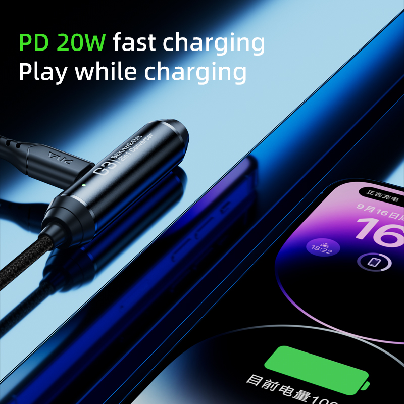 Piva 40cmケーブル 2-in-1急速充電コンバーター - Fast Charging Cable のレビューと価格