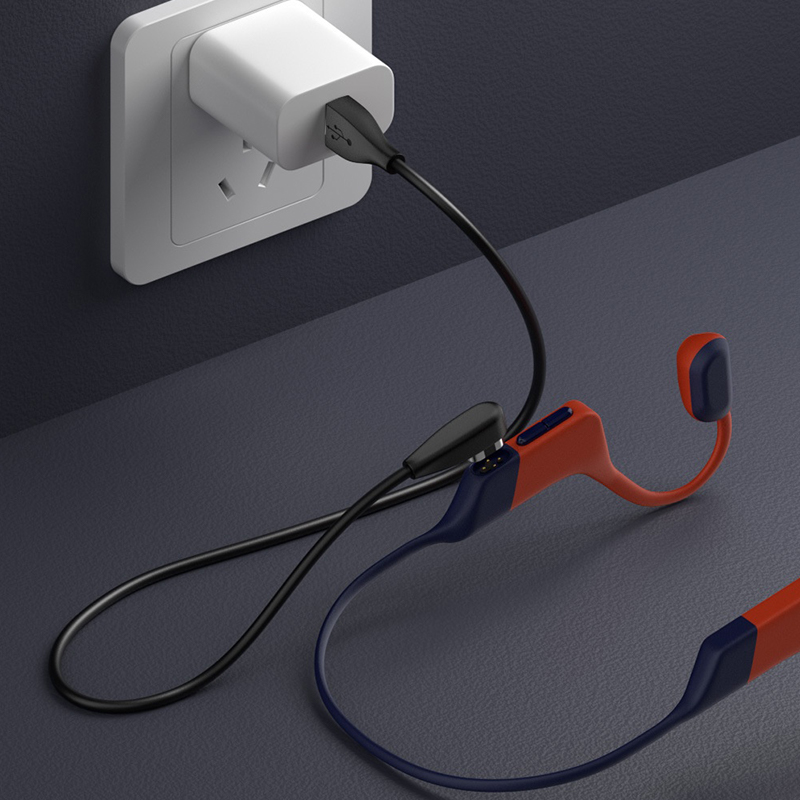 新しいタイプ C/USB 充電ケーブル Shokz Open - Fast Charging Cable のレビューと価格